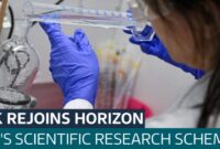 Uk rejoins eu horizon research programme