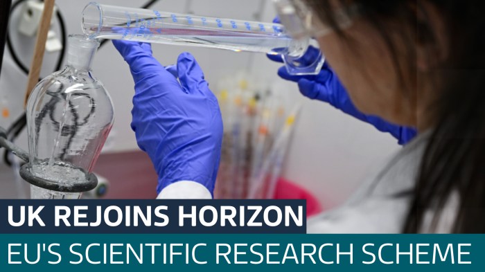 Uk rejoins eu horizon research programme