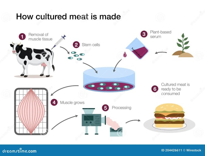 Uncommon bags 28 million scale lab grown meat rna technology