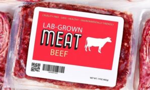 World first approval lab grown meat pet food