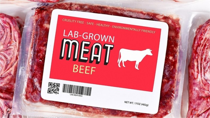 World first approval lab grown meat pet food