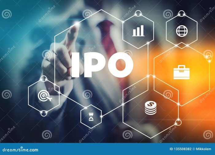 Public ipo company stock offering initial solved market first refers transcribed problem text been show has disadvantages advantages traded publicly