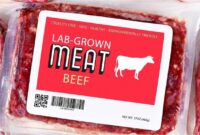 Netherlands first in europe to approve lab grown meat tastings