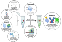 Fabricnano cell free biotech startup microplastics