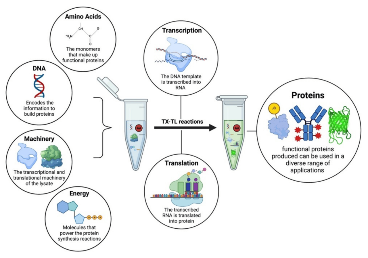 Fabricnano cell free biotech startup microplastics