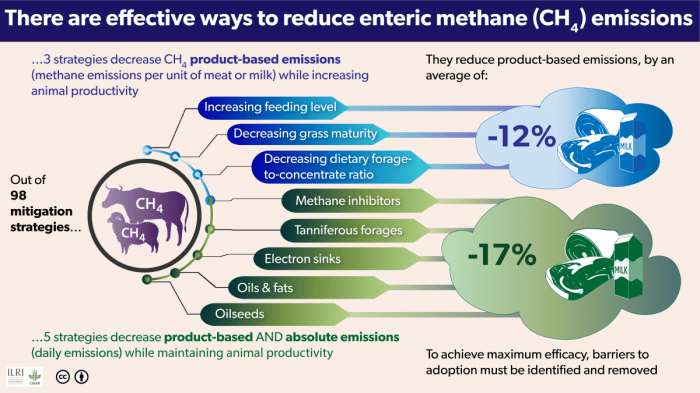 Methane cleaner reactor reduce emissions livestock