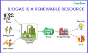 Shell investment in renewable biogas is wonderfully worrisome