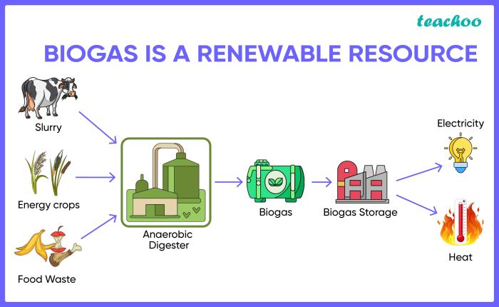 Shell investment in renewable biogas is wonderfully worrisome