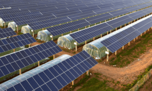 Europe solar power agriculture agrivoltaics