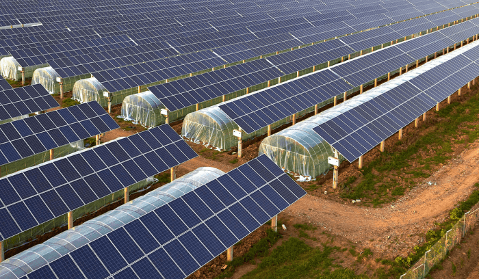 Europe solar power agriculture agrivoltaics