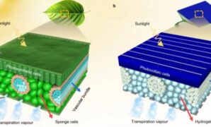 Solar leaf can harness more power than solar panels