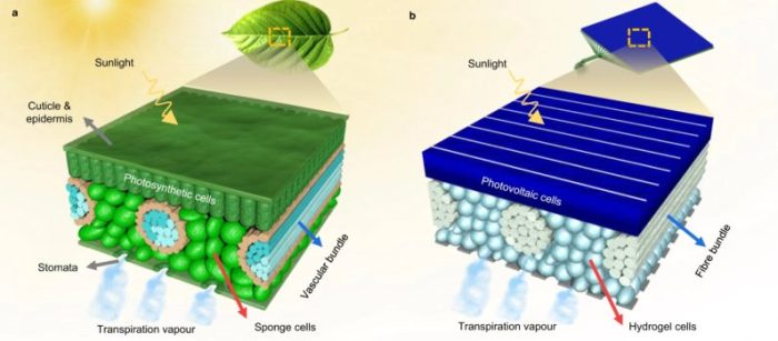 Solar leaf can harness more power than solar panels