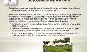 Sustainable farming earth and space a must see at tnw conference