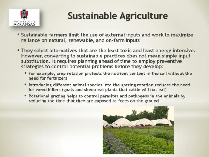 Sustainable farming earth and space a must see at tnw conference