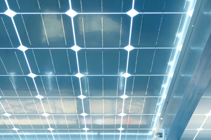 Swiss scientists new see through solar panels are sweet nectar startups