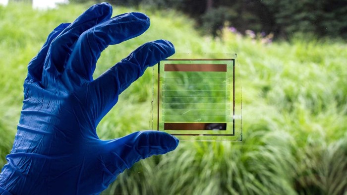 Swiss scientists new see through solar panels are sweet nectar startups