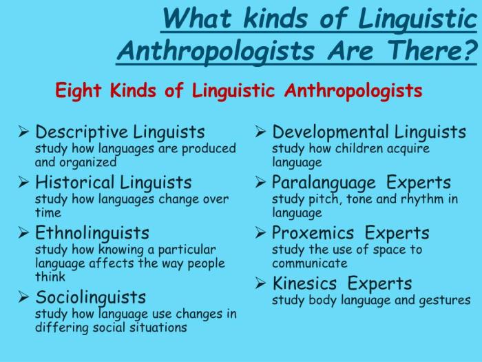 Linguistic anthropologist humans chatgpt