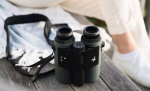 Smart ai binoculars birdwatching