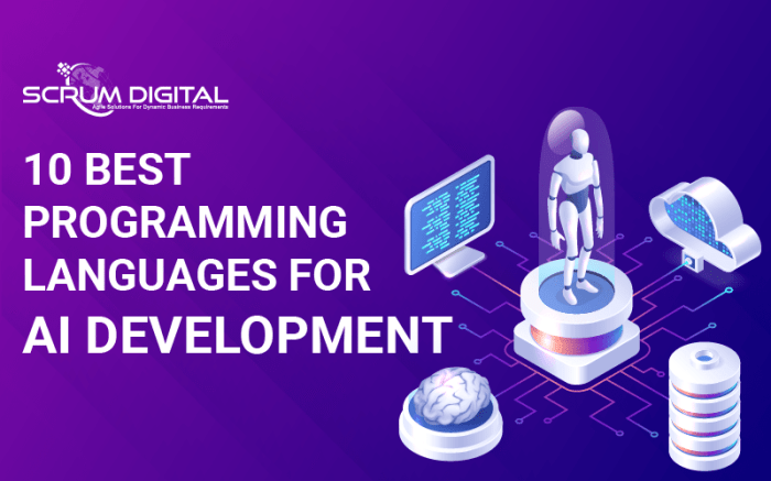 Developers learn programming languages age of ai