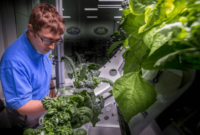 Vertical future farming startup grow crops axiom space station