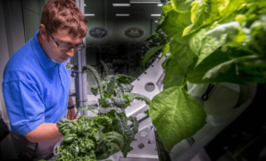 Vertical future farming startup grow crops axiom space station