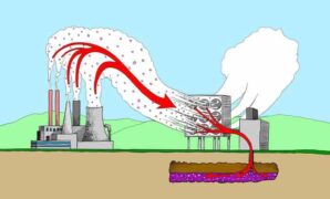 Carbon capture technology examples earth day