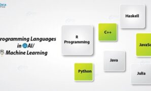 Top programming languages learn ai