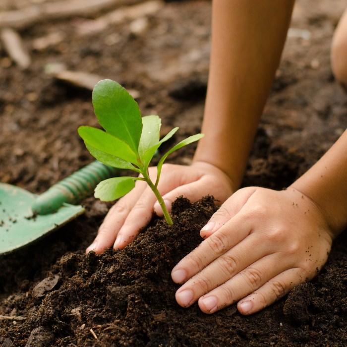 Efforts reforestation reward help man globalgiving reports