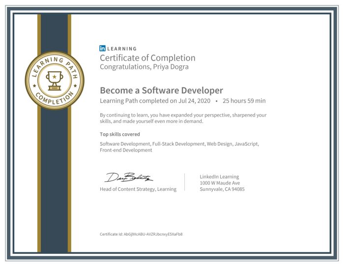 7 certifications software developers grow career