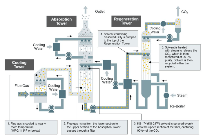 Startup protein powder carbon capture