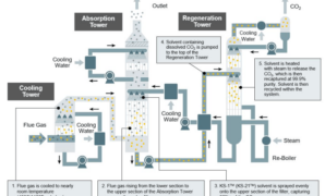 Startup protein powder carbon capture