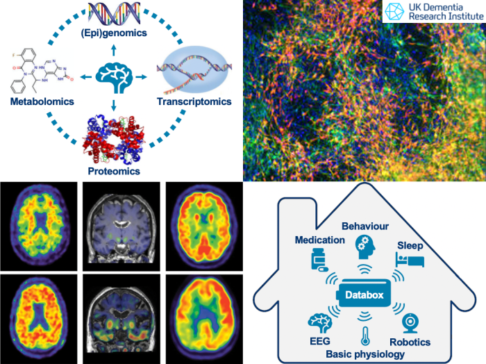 Europe universities using ai battle dementia