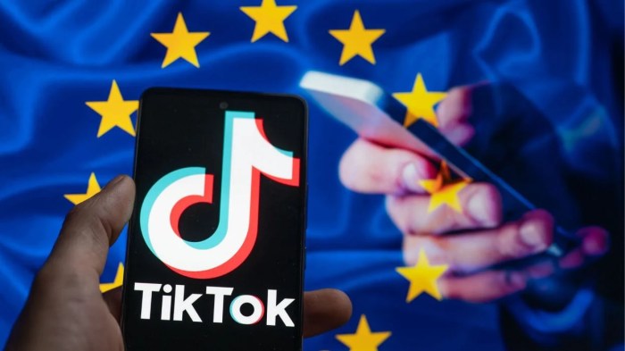 Tiktok kills lite rewards eu