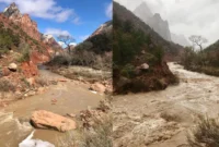 extreme-summer-wreaks-havoc-on-national-parks-what-you-need-to-know