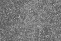 how-to-estimate-knife-steel-properties-based-on-elemental-composition