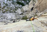 patagonias-free-wall-kit-a-comprehensive-review-for-the-modern-multi-pitch-climber