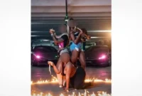 photographer-and-animal-handler-arrested-in-alleged-illegal-exotic-animal-photoshoots