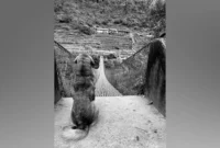 the-international-pet-photography-awards-unveils-a-dazzling-array-of-2026-finalists