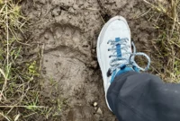 the-teva-grandview-max-vent-hiking-boot-a-breathable-champion-for-warm-weather-treks