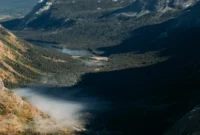from-gangs-to-grizzlies-how-a-former-urban-street-member-found-redemption-in-the-montana-wilderness